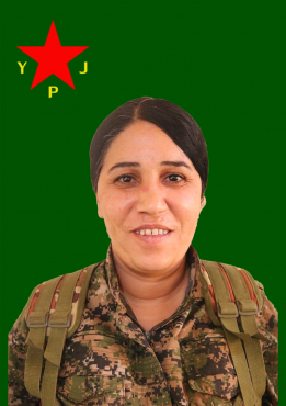 ADAR CUDÎ