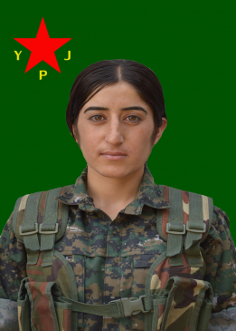 SAR&Icirc;NA B&Ecirc;R&Icirc;TAN