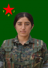 SARÎNA BÊRÎTAN