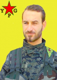 DELÎL QAMIŞLO