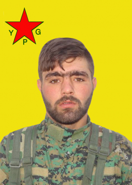 &Ccedil;EKDAR QAMIŞLO