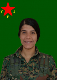 HÊVÎDAR AZAD