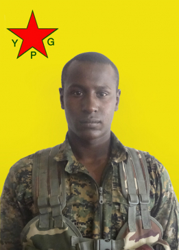REZAN ŞENGAL