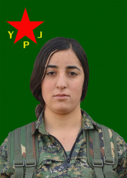 XEZAL ÇIYA