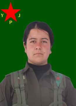 TEKOŞ&Icirc;N WELAT