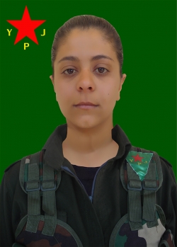 ARJÎN SILAV