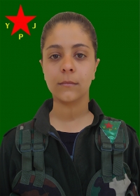 ARJÎN SILAV