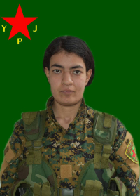 BÊRÎVAN CUDÎ