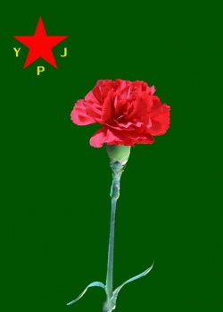 AYHAN KOBANÊ