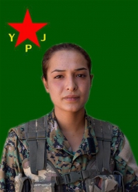 AVŞİN EFRİN