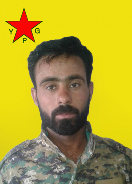 ZÎR ŞEDADE