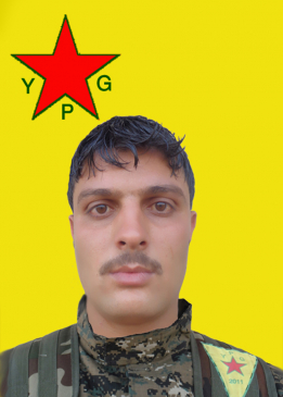 ROJHAT QAMIŞLO