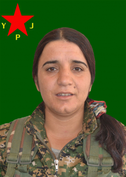 JIYAN AMED