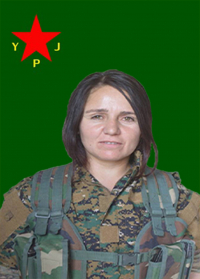 SARA DÊRİK