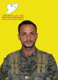 CANŞÊR EFRÎN