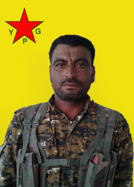 DÎB ŞEDADÊ