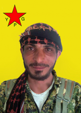 ŞIYAR ŞEDADE
