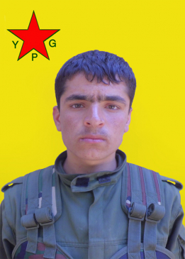 AMED KOBANÊ