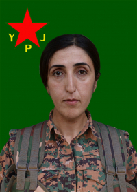 SILAV SERKEFTIN MAMXURÎ