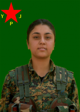ÇARÇELA QENDÎL