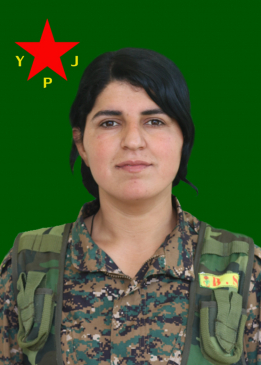 NERGİZ ŞEWİŞ
