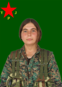 ROJYAN ANDOK