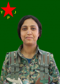 BARÎN KOBANÊ