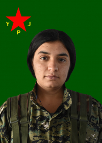 ZÎLAN BÊRÎTAN