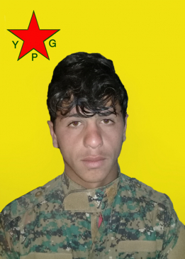 ELÎ DERAZOR