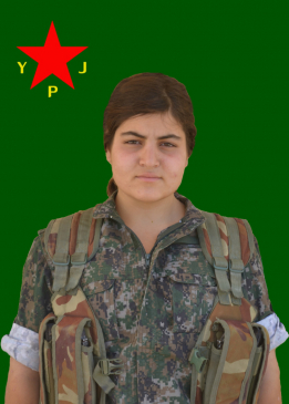 TOLHILDAN CIZÎR