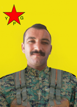 SERXWEBÛN AMED