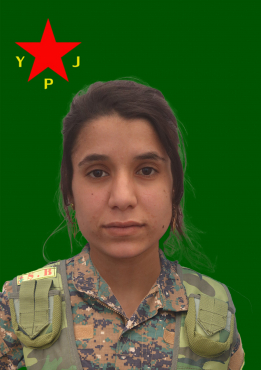 HÎBA HESEKÊ