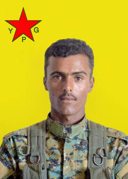 WELAT ŞEDADE