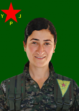 ROJBÎN RONAHÎ