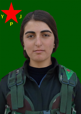 TOPRAK KARAYAZI