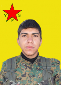 ÇEKDAR EFRÎN