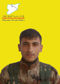 ELÎ DOŞKA