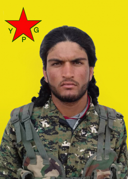 DOĞAN ŞEDADÊ