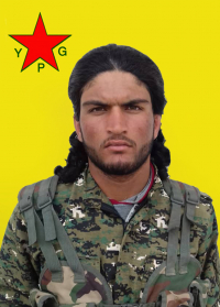 DOĞAN ŞEDADÊ