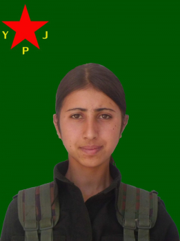 RONAHÎ XEBAT