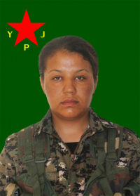 ZÎLAN KERAMA