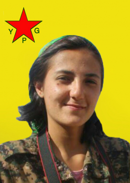 DESTAN QAMIŞLO