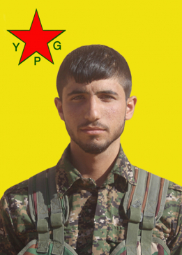 TÎMAF SEREKANÎ