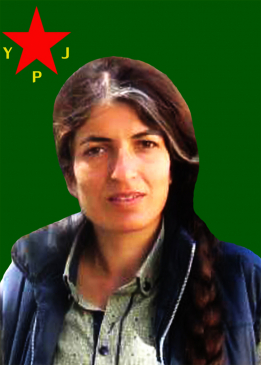 ROZER&Icirc;N AMARA