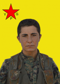 ÇEKDAR ŞÊREWA