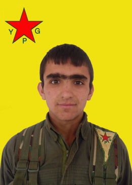 ANDOK SERHED