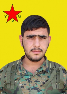 BARAN QAMIŞLO