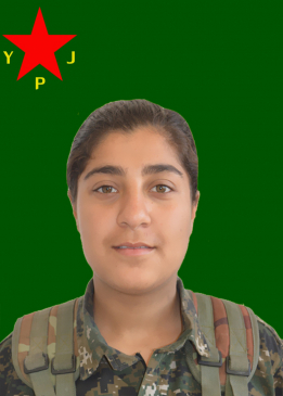 NEWROZ ÊLIH