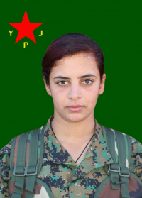 JIYAN QAMIŞLO