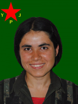 ARÎN MÎRKAN